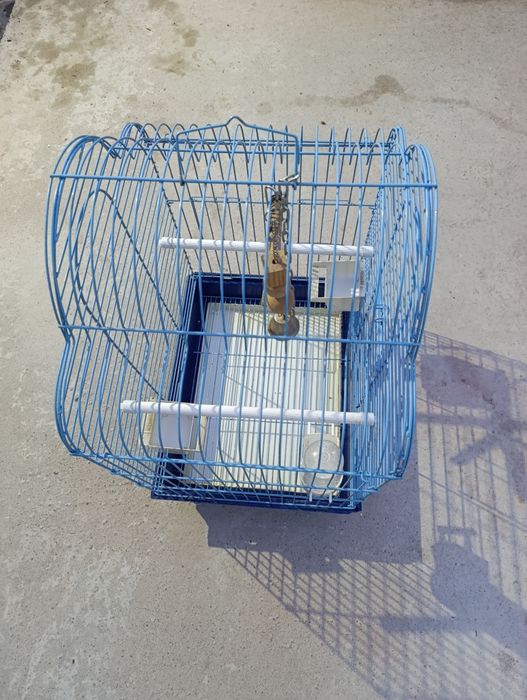 Cușcă mare de păsări