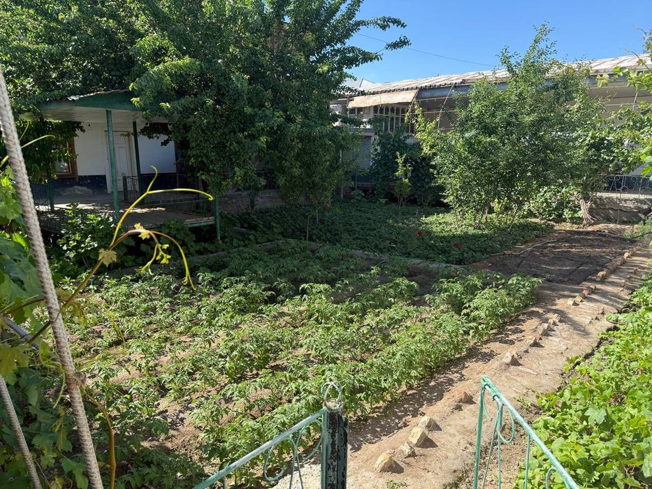 Жер жай 10 сотоклы