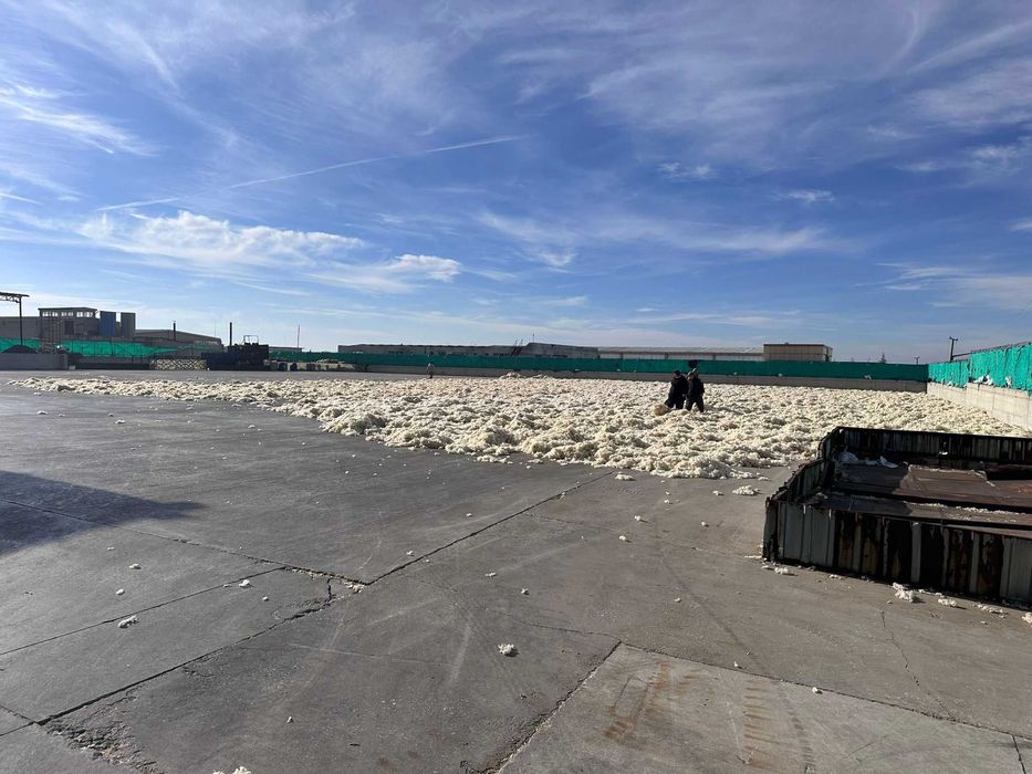 Vand lana spalata 100% naturala, direct de la producator