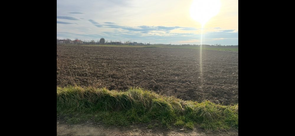 Vand teren intravilan 10 in Lazuri