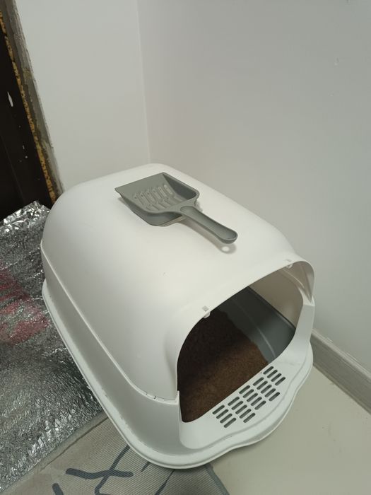 Акылды Еркек мысык