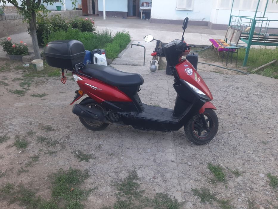 Мопед Popov DY48QT-AA