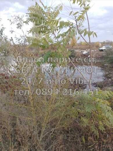 Земеделски масив 41дка със стари рибарници - код 61685