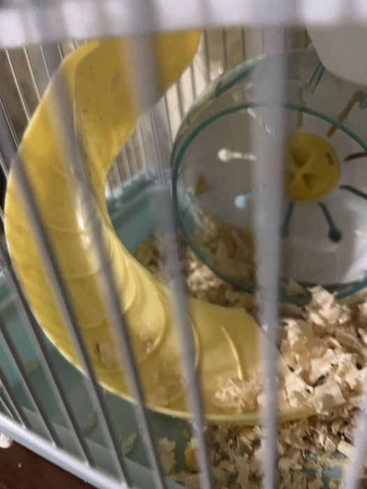 Клетка для хомяков