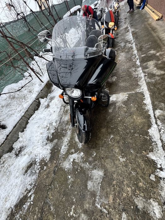 Kawsski vaquero superb