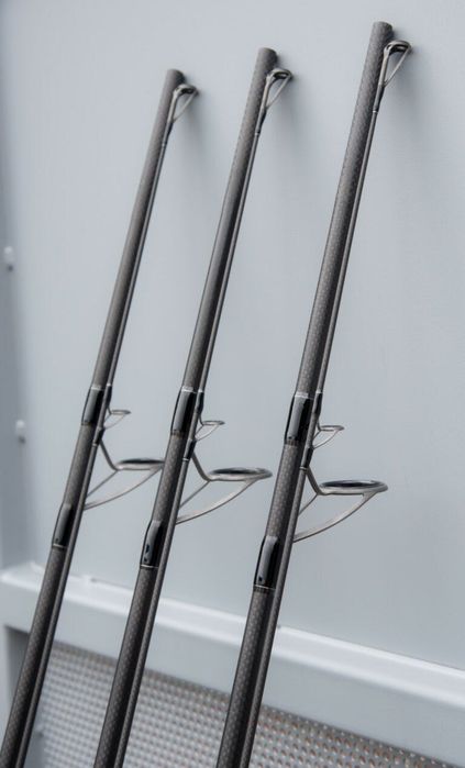 Lansete Sportex DNA Carp top
