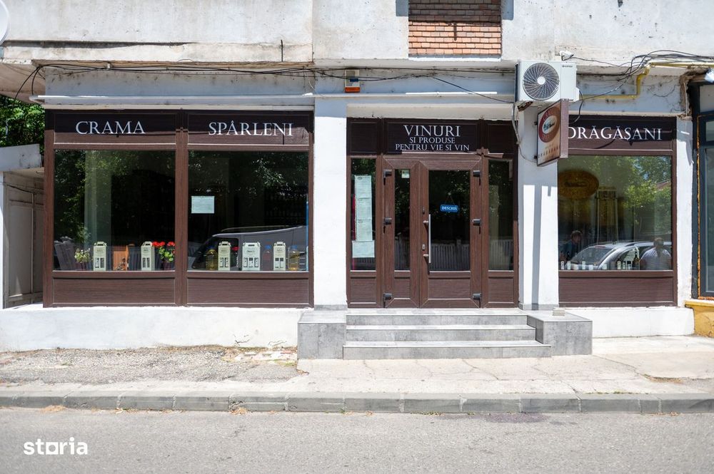 Cramă Premium De Vânzare -60 Ha- Conac Istoric- Podgoria Drăgășani