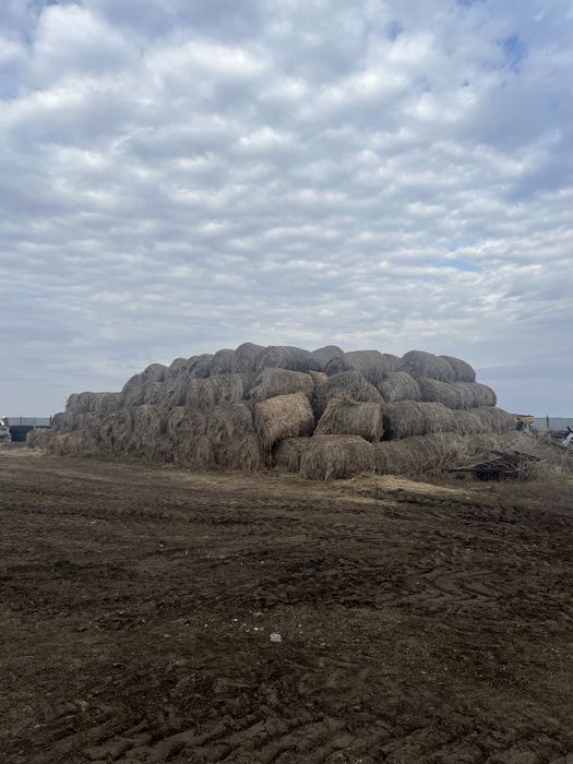Продам Сено(Донник+разнотравие)