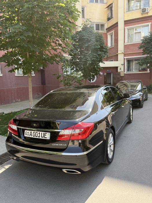 Genesis 3.8 Atmo Mator Luxury Korean Car