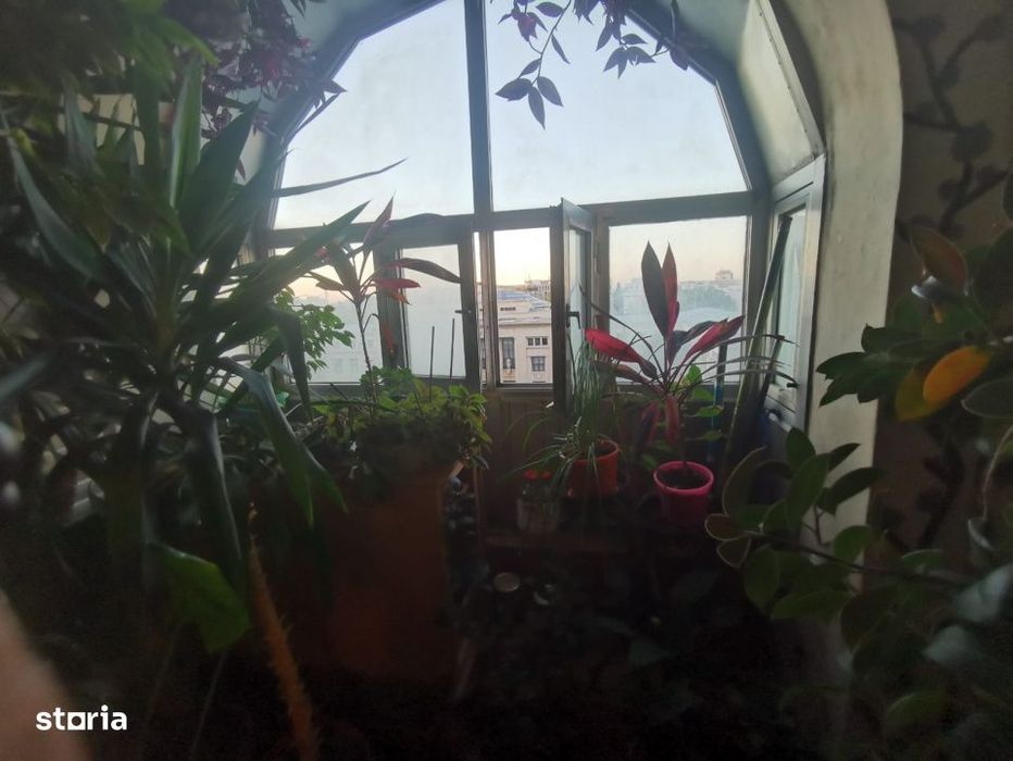 Apartament 2 Camere/Kogalniceanu/Facultatea de Drept/Risc 1