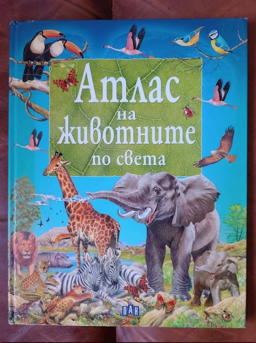 Разнообразни детски книжки