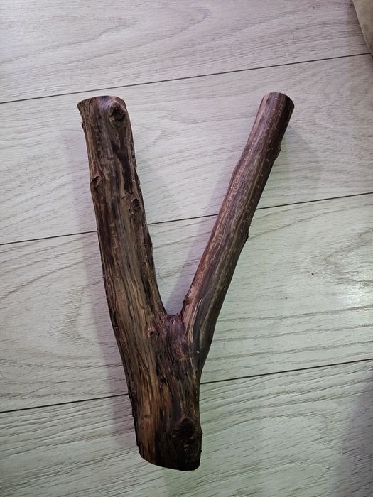 Vand plante acvariu