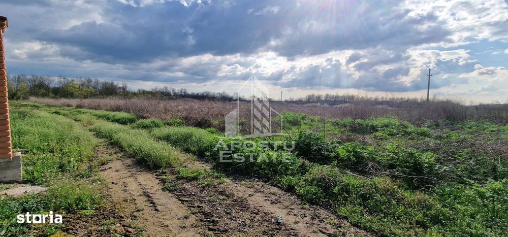Teren intravilan , curent , apa , nr de casa Sacosu Turcesc