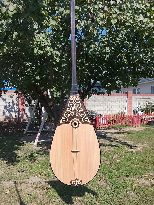 Домбыра профессиональная