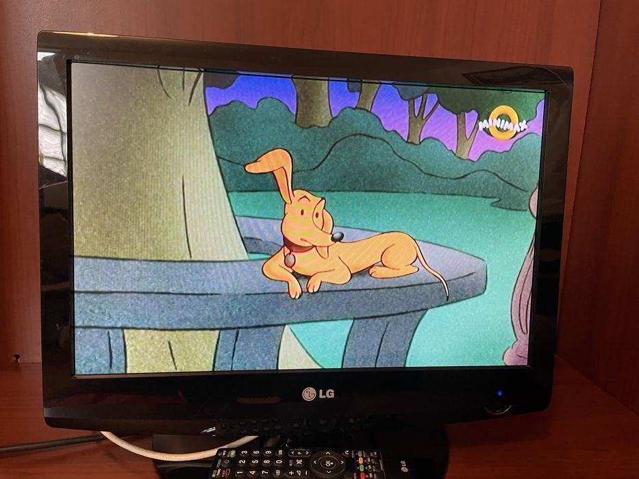 Televizor cu diagonala 48 inci  LG.