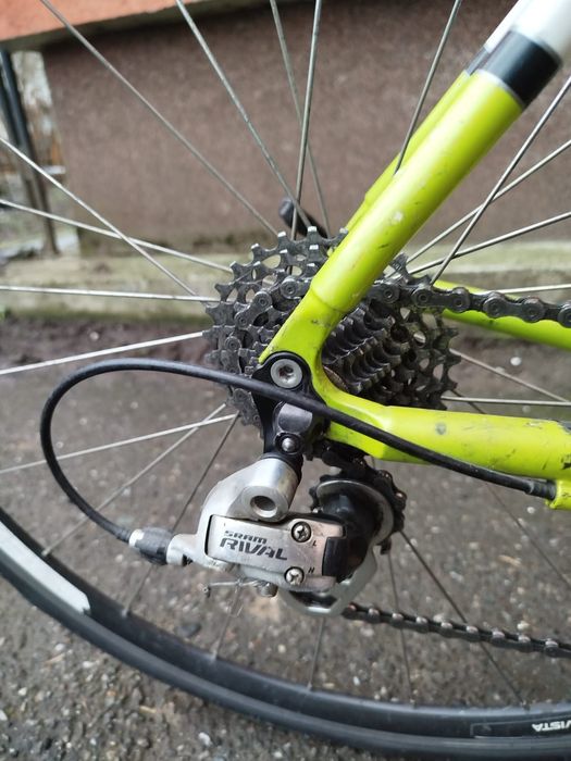 Cursiera contratimp Focus