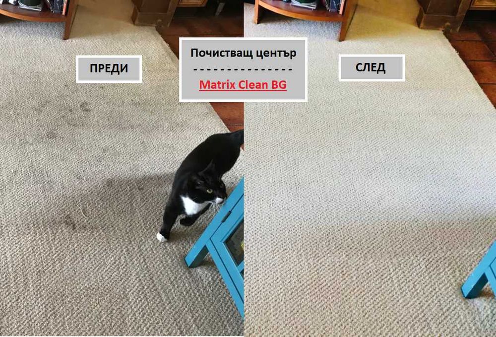 Професионално дълбоко пране на дивани, килими, матраци и Автосалон