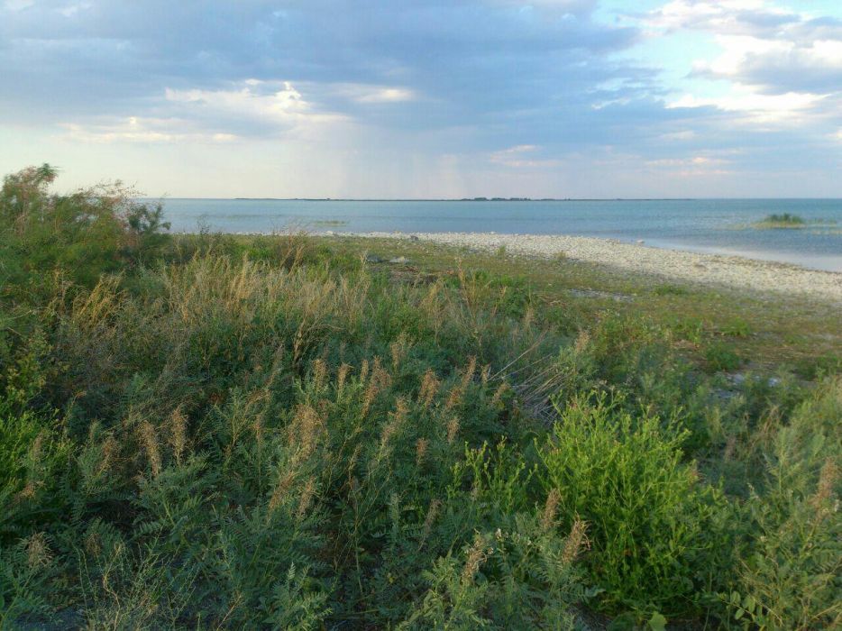 Дачный участок