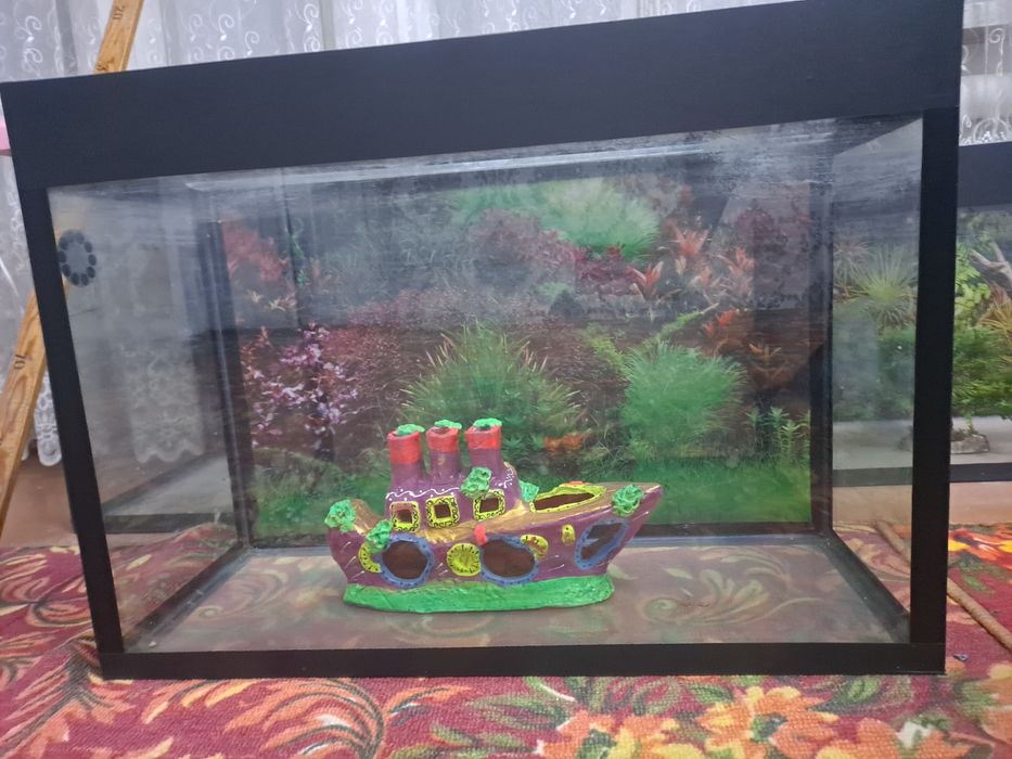 Akvarium baliq parvarishlash uchun mo'ljallangan