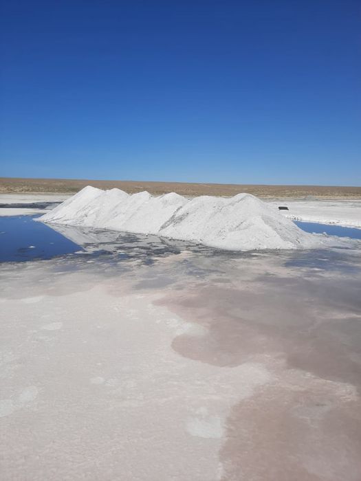 Соль техническая