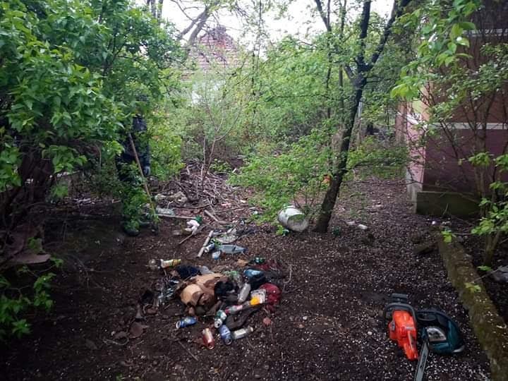 Defrișări terenuri și recondiționare curți