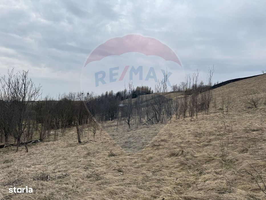 Teren intravilan 2307 mp în Salicea, zona premium, aproape de Cluj