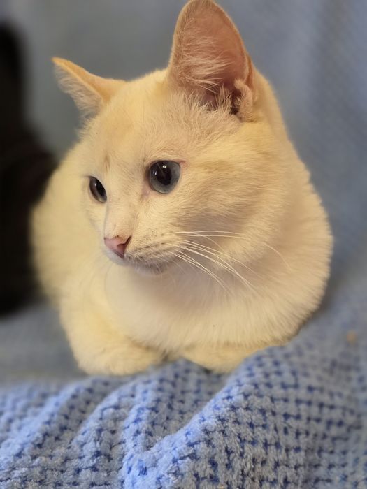 Самый ласковый мальчик  5  месяцев