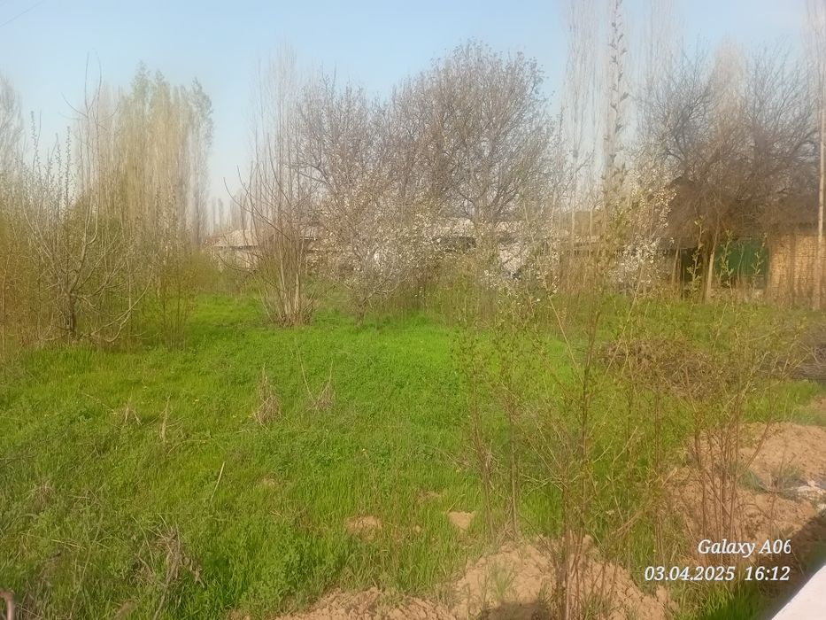 Ташкент вилояти Паркент туман Бустон кфй Ачиксой мой