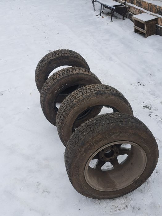 Зимний шина на 15