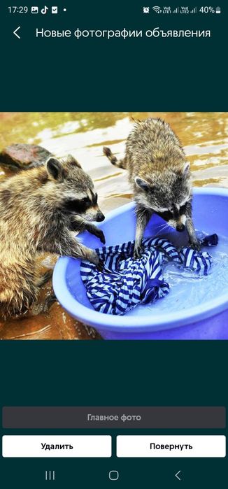 Химчистка универсал 24/7