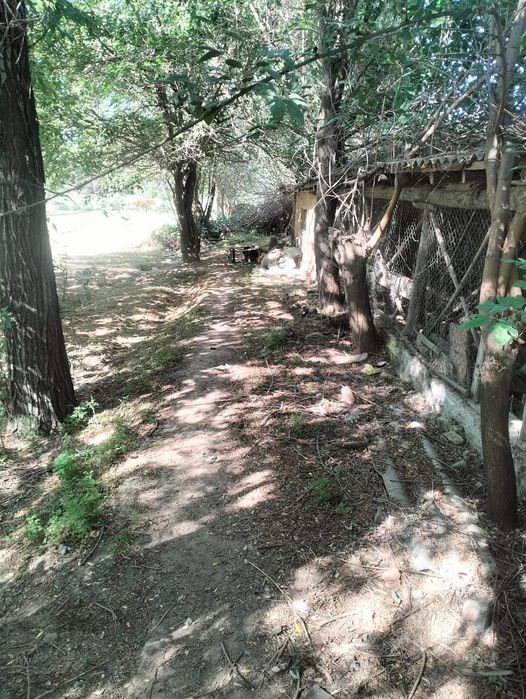 Продается дом 50соток 14 млн ₸г