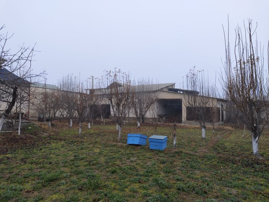 7 sotixlik xovli sotiladi