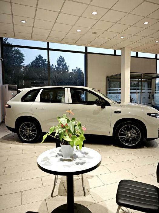 Leapmotor C10 (530 km )