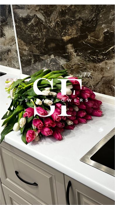 Оптовая продажа тюльпанов