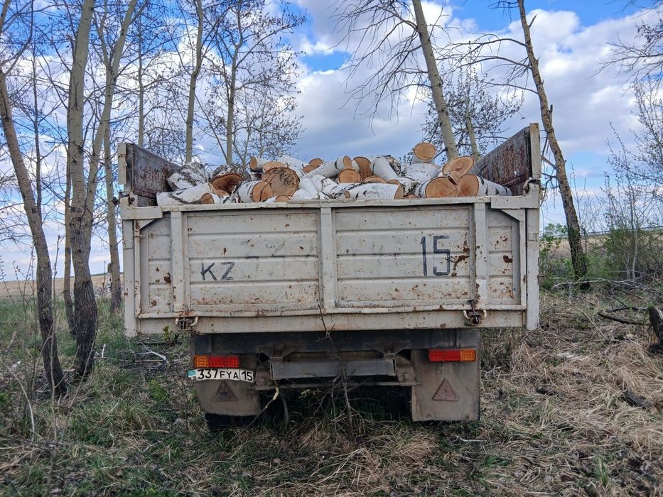 Дрова берёза колотые и чурками