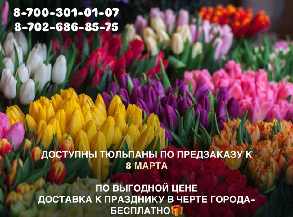 Тюльпаны к 8 марта!!! Горячие цены!!