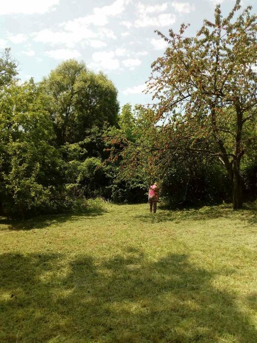 Продава се Парцел в Брезник - 450 кв.м за 34 €/кв.м - Снимка #6