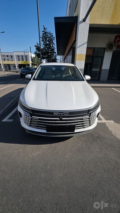 BYD CHAZOR DM-1 1chi pazitsa 2024 va 2025