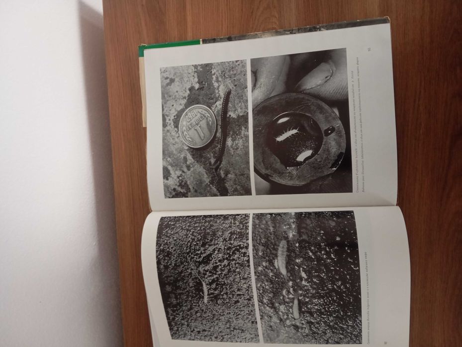 Книга Пещерите на България 1987г.