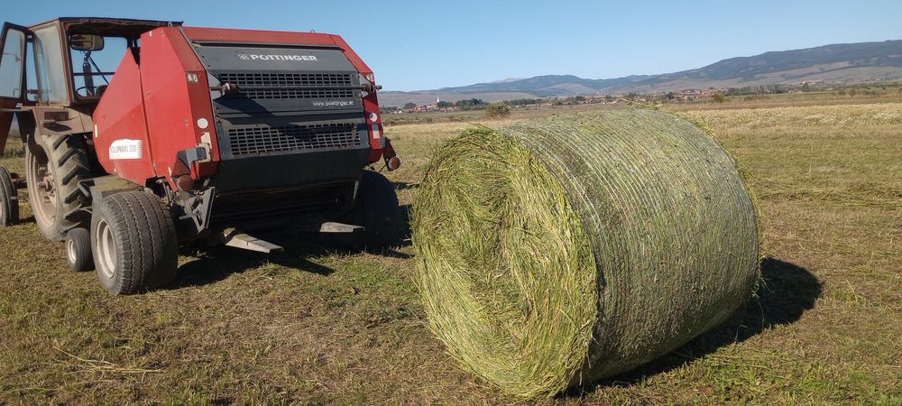 Baloti fan si lucerna