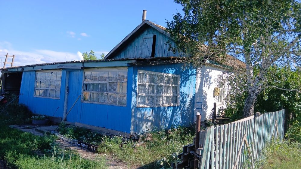 Продам дом, село Взнесенка