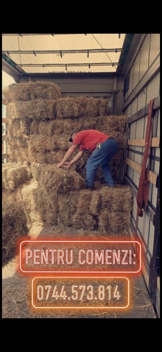 Baloti fan or Lucerna drept.500.Rotunzi min.40.Transport inclus.La TIR