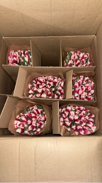 Тюльпаны на 8 марта