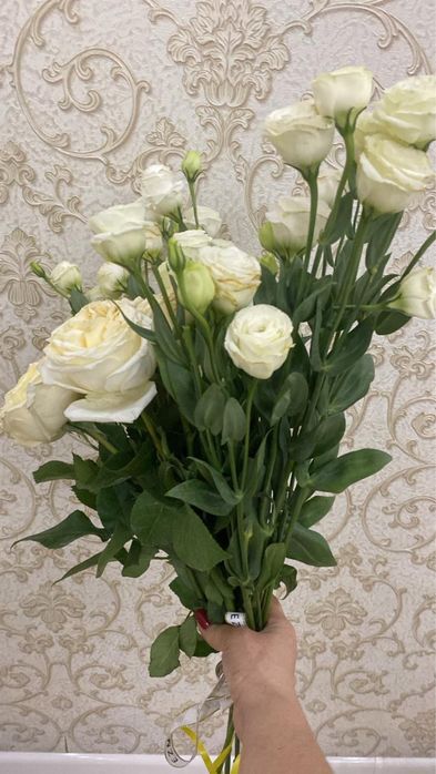 Продается яркие цветы!