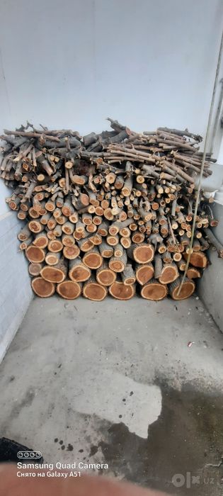 TUT daraxti bor tayyor kesilgan
