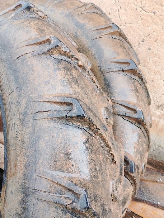 MTZ  80 balonlari xolati alo darajada