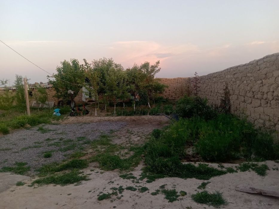 Jizzax viloyati zarbdor tumani Oqbuloq mfyda 6 soʻtix uy sotiladi