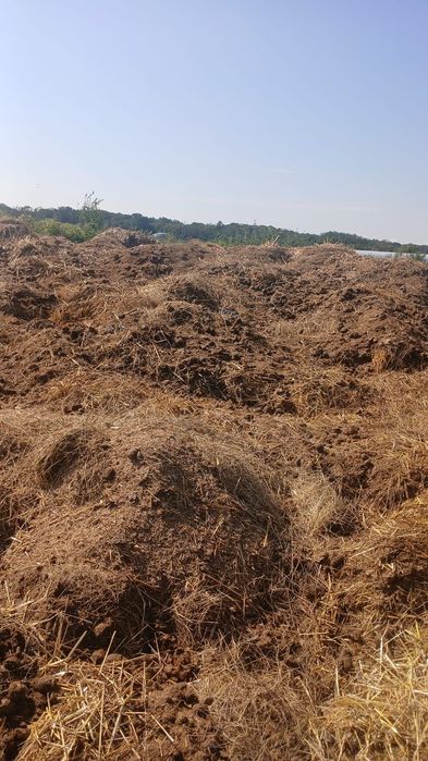 Ofer gratuit balegar de cal - ingrasamant natural, mranita