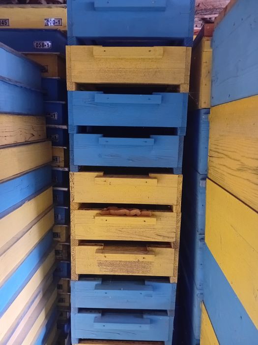 Многокорпусни кошери