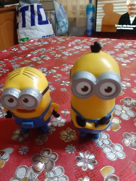 Vând 2 minioni foarte drăguți.